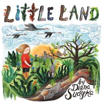 Little Land - by  Diana Sudyka (Hardcover)