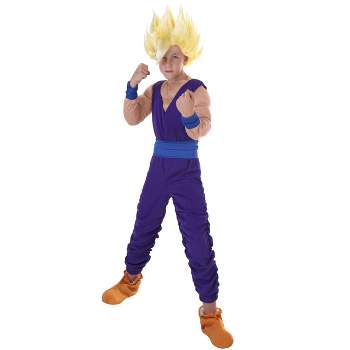 HalloweenCostumes.com Dragon Ball Z Boy's Gohan Costume.