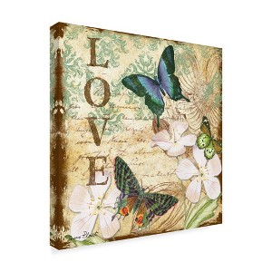 Trademark Fine Art -Jean Plout 'Inspirational Butterflies Love' Canvas Art - 1 of 3