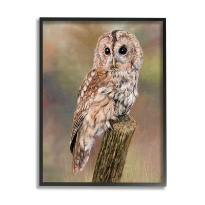 Stupell Industries Brown Tawny Owl Perched Framed Giclee