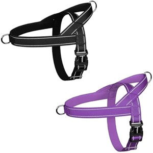 rabbitgoo Dog Harness No Pull, Quick Fit Handle, Chest Adjustable Reflective Pet Vest, No Choke Escape Proof for Walking Training - 1 of 1