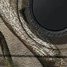 autumn camo (black)