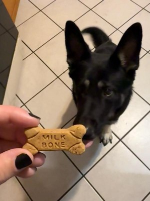 Guest review image 2 of 2, zoom in