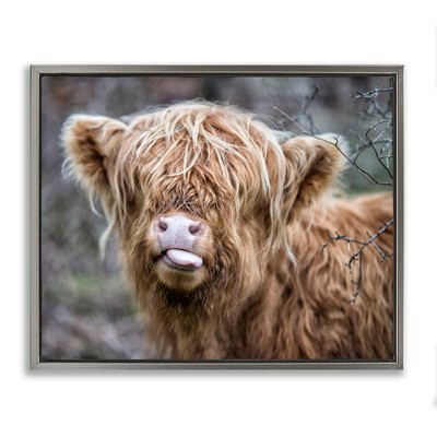 Stupell Industries Baby Cattle Licking Lips, 21" x 17"