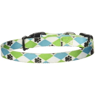 Casual Canine Nylon Pooch Patterns Dog Collar, Fits Necks 6" to 10", Blue Argyle