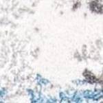grey/blue