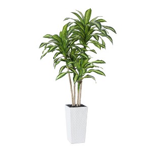 DR.Planzen UV Resistant Artificial 6-7FT Tall Pre Potted Dracaena Tree with White/Brown Tall Square Planter for Indoor Outdoor House Home Decor - 1 of 4