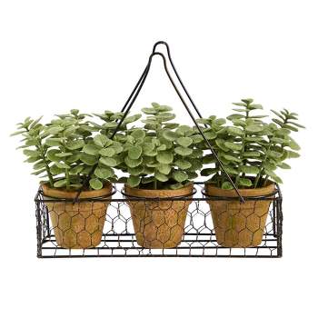 Nearly Natural 7-in Mini Jade Garden Artificial Plant in Hanging Planter
