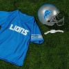 Nfl Detroit Lions Youth Uniform Jersey Set : Target