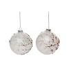 Transpac Glass 4.5 in. Multicolored Christmas Painted Winter Birds Ornament Set of 2 - 3 of 4