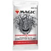 Magic The Gathering Magic: The Gathering Adventures in The Forgotten Realms Collector Booster Pack | 15 Magic Cards - 4 of 4