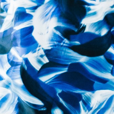 navy wave