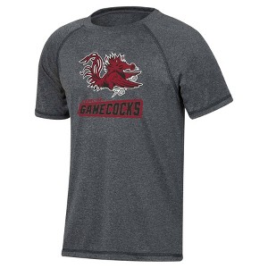 NCAA South Carolina Gamecocks Boys' Gray Poly T-Shirt - 1 of 3