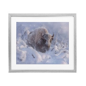Stupell Industries Winter Bison In Deep Framed Print Under Glass Art - 1 of 4
