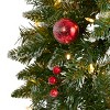 Nearly Natural 24-in Frosted Artificial Christmas Wreath with 50 Warm White LED Lights, Ornaments and Berries - 3 of 4