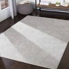 Hauteloom Canaseraga Area Rug - 2 of 4