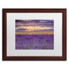 Trademark Fine Art -Michael Blanchette Photography 'Lavender Sunbeams' Matted Framed Art - 2 of 4