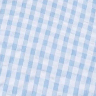 classic blue gingham