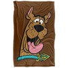Scooby Doo Scooby Happy Silky Touch Super Soft Throw Blanket 36" x 58" Scooby Happy - 2 of 4