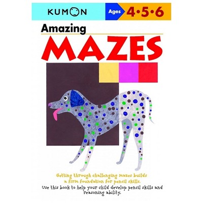 Amazing Mazes (Original) (Paperback) by Shinobu Akaishi