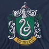 Boys’ Harry Potter Slytherin Crest Hooded Sweatshirt - 2 of 4