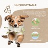 ZippyPaws for Dogs, Densely Woven Squeaky Dog Toys with Built in Squeak, Long-Lasting and Durable Dog Toys, Recycled Plush Dog Squeaky Toys - 4 of 4
