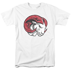 Men's Winston Salem State University Official Distressed Primary Logo T-Shirt - 1 of 4