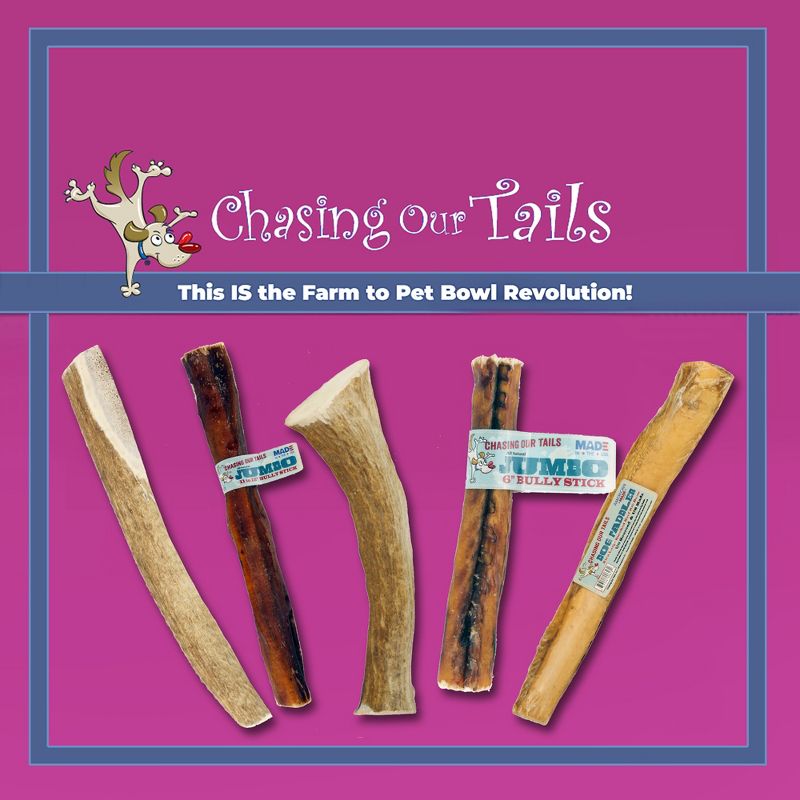 Chasing Our Tails Deer Antler Large for Dogs 1 Count, 4 of 5