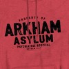 Batman Arkham Asylum Pullover Hoodie - 2 of 4