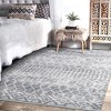 Area Rugs Boho Moroccan Rugs for Living Room Carpet Abstract Rugs for Bedroom Soft Distressed Rug - 2 of 4