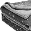 HomeRoots Queen Gray And Silver Fleece Woven Polka Dots Plush Blanket - 4 of 4