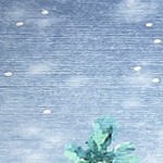 blue-6*9ft