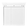 Chery Life 30.07''W x 7.16'' D x 28.74'' H Wall Mounted Mirror Cabinet with Storage Organize - 4 of 4