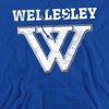 Wellesley College Official Distressed Primary Logo Adult Pull-Over Hoodie - 2 of 4