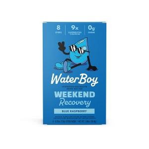 Waterboy Weekend Recovery Dietary Supplement Powder - Blue Raspberry - 8pk - 1 of 4