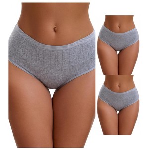 INSPIRE CHIC Women's Cotton High Waist Briefs Breathable Underwear, Available in Plus Size 3 Packs - 1 of 4