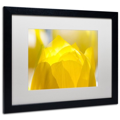 Trademark Fine Art -Kurt Shaffer 'Yellow Tulip' Matted Framed Art