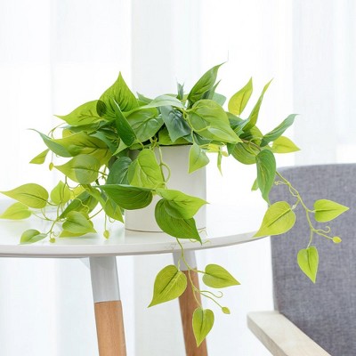 Potted Green Ivy in White Ceramic Tabletop Planter