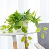 Forever Leaf Artificial Ivy Foliage Plant in White Ceramic Pot, Indoor Artificial Plant for Home Decor - 4 of 4
