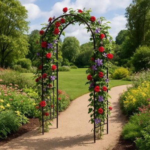 Metal Garden Arbor Wedding Arch, Outdoor Garden Trellis for Climbing Plants, Patio & Lawn Decorative Arch, Party & Ceremony, Black - 1 of 4