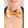 HalloweenCostumes.com Men's Gold and Green Leprechaun Costume - 4 of 4