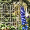 4 Pack 86.7x19.7in Metal Garden Trellis for Climbing Plants Outdoor Plant Support Iron Fence Trellis for Vines Plant Roses Vegetable Support White - 4 of 4