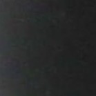 snake plant (yellow) 90cm