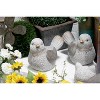 Set of 2 Magnesium Oxide Country Birds Garden Sculpture Gray - Olivia & May: Patio Decor, Indoor/Outdoor Artwork - 3 of 4