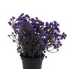 Unique Bargains Artificial Plants Bellflower Decorative Pot Plastic 2.76"x2.76"x6.69" 1 Pc - 4 of 4