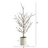 Nearly Natural 24-in Snowed Twig Artificial Tree in Decorative Planter - 2 of 3