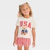 Toddler Girls' 2pc Americana USA Teddy Bear Short Sleeve T-Shirt and Gingham Shorts Set - Red - 3 of 4