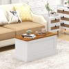 Tangkula 35.5" Storage Chest Lift Top Storage Box w/ Safety Hydraulic Strut & Metal Hinges - 4 of 4