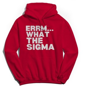 Rerun Island Men's Err What The Sigma Long Sleeve Graphic Cotton Sweatshirt Hoodie - 1 of 4
