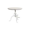 Carolina Living Riley Adjustable Hi-Lo Coffee Table in Whitewash - 2 of 2